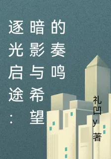 逐光啓途：暗影與希望的奏鳴 封面