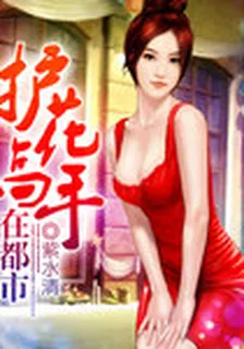 護花高手在都市 封面