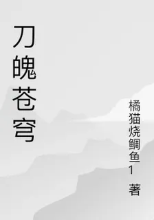刀魄蒼穹 封面