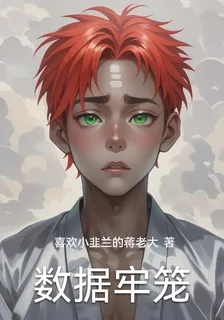 數據牢籠 封面