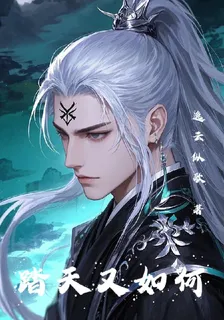 踏天又如何 封面