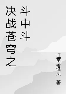 決戰蒼穹之鬥中鬥 封面