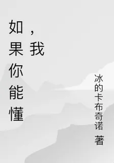 如果你能懂，我 封面