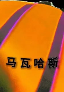 馬瓦哈斯 封面