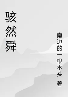 駭然舜 封面