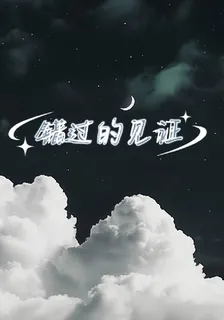 錯過的見證 封面
