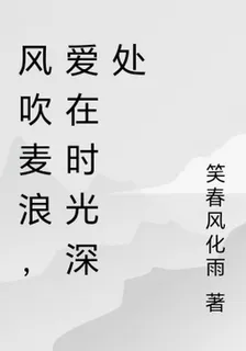 風吹麥浪，愛在時光深處 封面