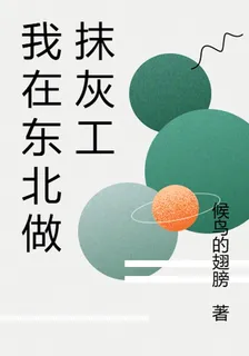 我在東北做抹灰工 封面