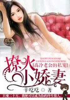 獨家寵婚：高冷老公呆萌妻 封面