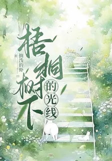 梧桐樹下的光線 封面