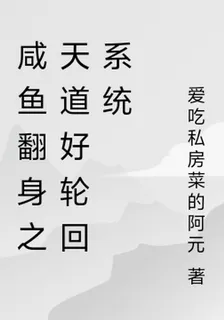 鹹魚翻身之天道好輪迴系統 封面