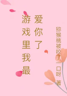 遊戲裏我最愛你了 封面