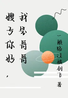 嫂子你好，我是哥哥 封面