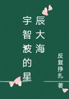 宇智波的星辰大海 封面