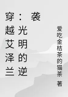 穿越艾澤蘭：光明的逆襲 封面