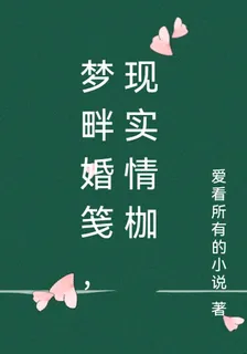 夢畔婚箋，現實情枷 封面