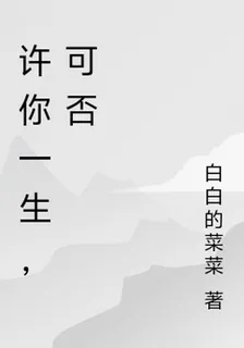 許你一生，可否 封面