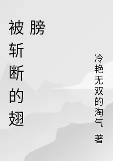 被斬斷的翅膀 封面