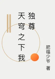 天穹之下我獨尊 封面