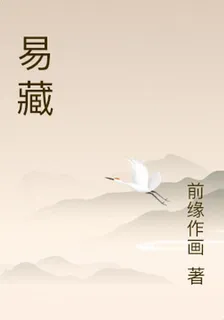 易藏 封面