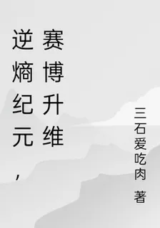 逆熵紀元，賽博升維 封面