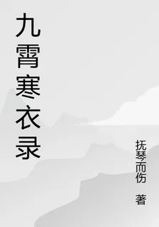 九霄寒衣錄 封面