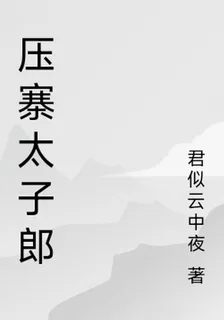 壓寨太子郎 封面