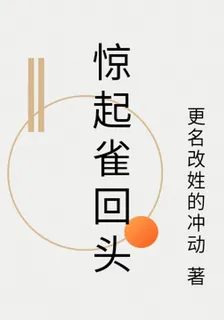 驚起雀回頭 封面