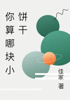 你算哪塊小餅乾 封面