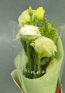 星星向我走來 封面