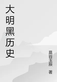 大明黑歷史 封面