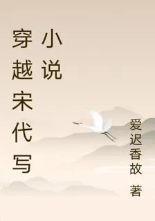 穿越宋代寫小說 封面