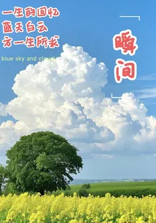 瞬間，一生的回憶 封面