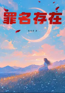 罪名存在 封面