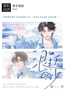 浪打白沙 封面