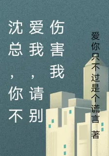 沈總，你不愛我，請別傷害我 封面