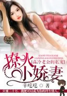 高冷老公的私寵：撩火小嬌妻 封面
