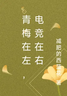 青梅在左，電競在右 封面