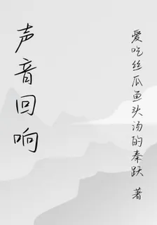 聲音迴響 封面