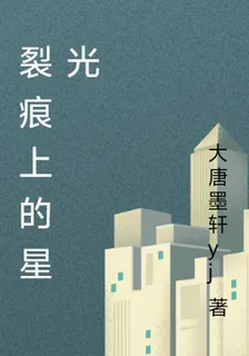 裂痕上的星光 封面