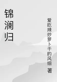 錦瀾歸 封面