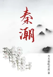 秦潮 封面