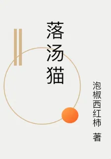 落湯貓 封面