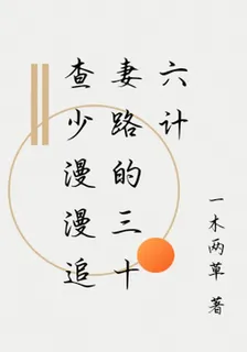 查少漫漫追妻路的三十六計 封面