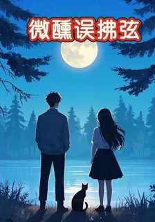 微醺誤拂弦 封面