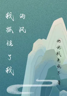 我抓住了我的風 封面