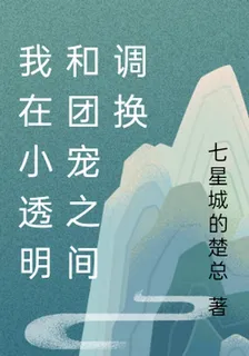 我在小透明和團寵之間調換 封面
