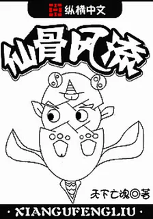 仙骨風流 封面