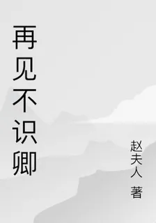 再見不識卿 封面