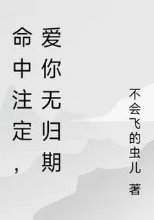 命中註定，愛你無歸期 封面